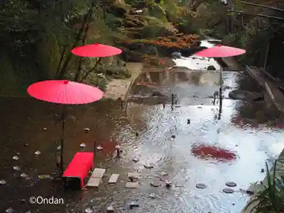 貴船神社結社(京都府)
