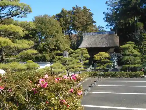 天嶽院の景色