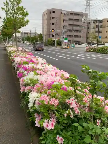 若雷神社(神奈川県)