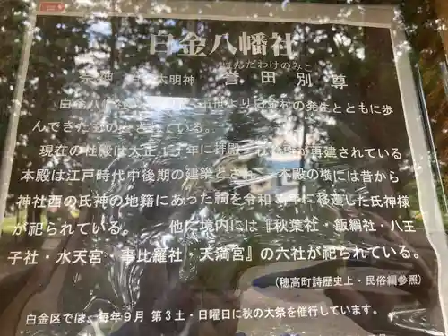 八幡社（白金八幡社）(長野県)