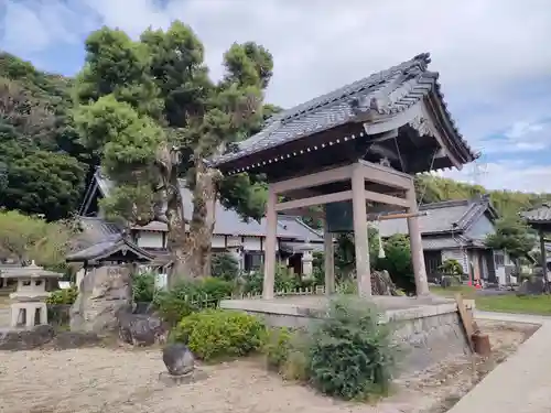 金蓮寺の建物その他