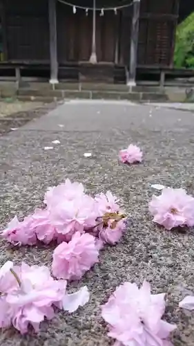 日光鹿島神社のその他建物