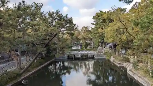 住吉大社の景色