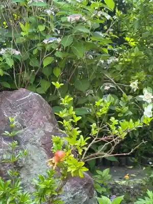 福傳寺(東京都)