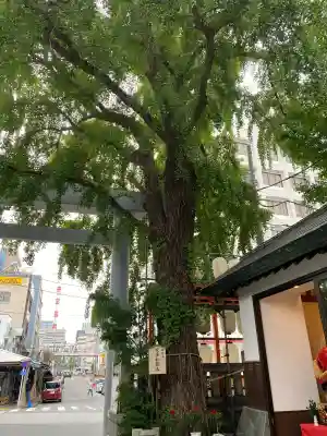 波除神社（波除稲荷神社）(東京都)