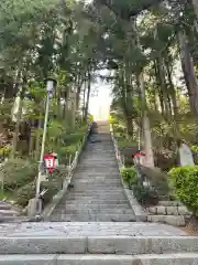 横山八幡宮の自然