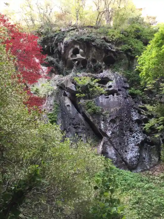 宝珠山 立石寺の自然
