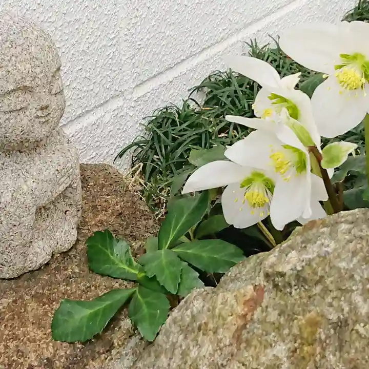 寿量山 速成寺の庭園