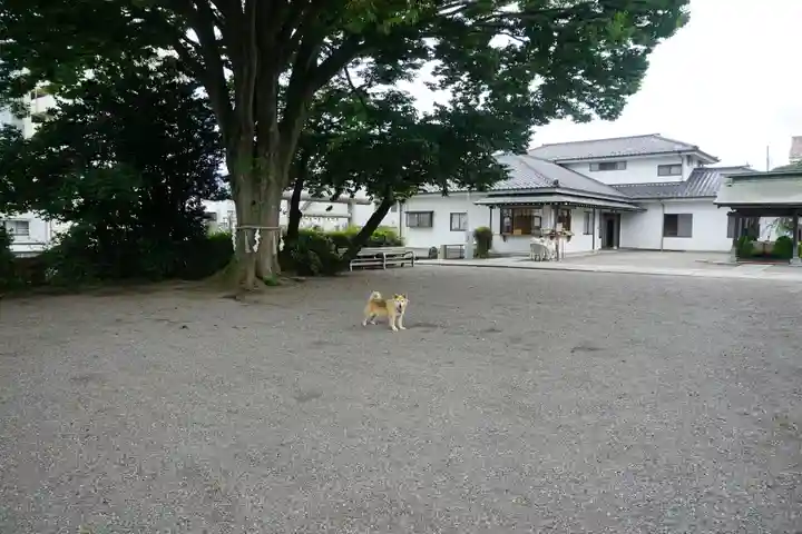 別雷皇太神の自然
