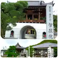 智照院の山門・神門