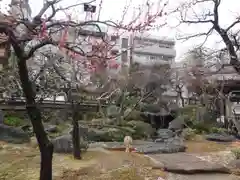 湯島天満宮の自然