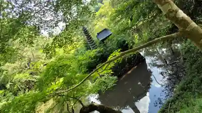 鍬山神社(京都府)