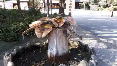 櫻木神社の手水舎