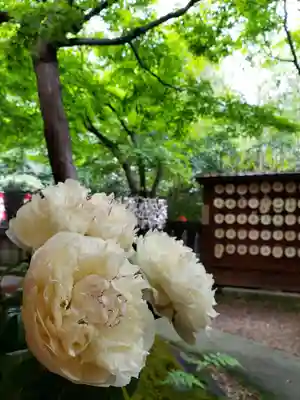 陽運寺(東京都)