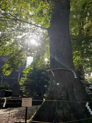 今宮神社(静岡県)