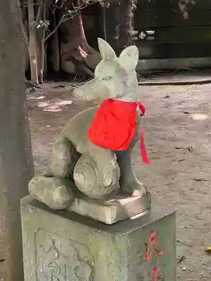 若松稲荷神社の狛犬