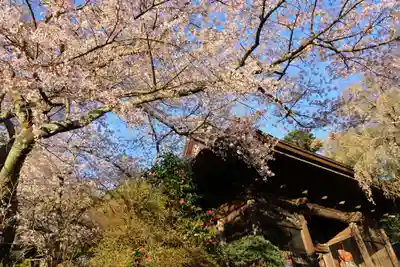 田村大元神社の景色
