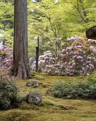 三千院門跡(京都府)