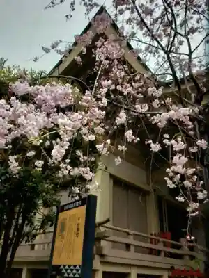 矢先稲荷神社(東京都)