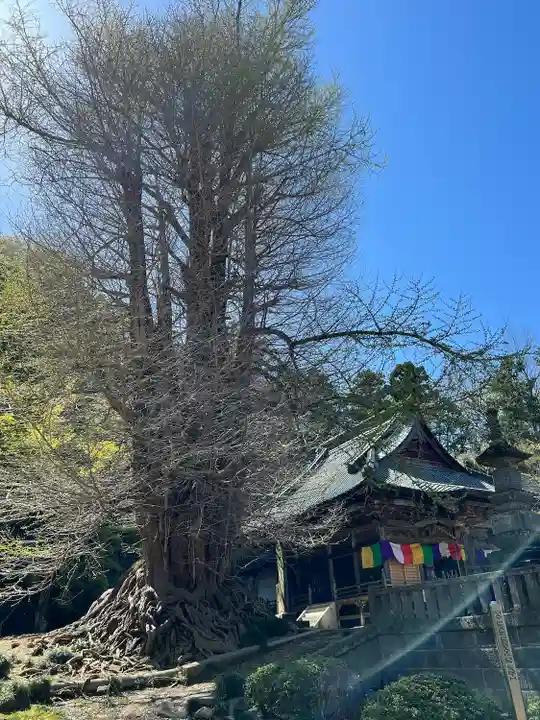 正法寺(埼玉県)