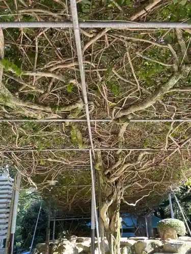 大窪寺(香川県)