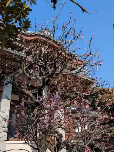 金藏院(神奈川県)