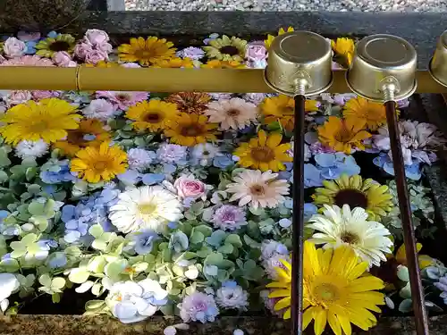 山﨑八幡宮の手水舎