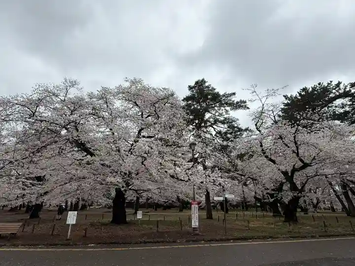 武蔵一宮氷川神社(埼玉県)