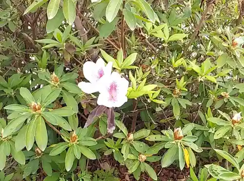 比佐豆知神社(三重県)