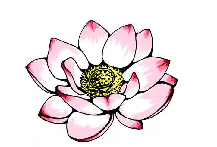 日蓮宗 恵日山 妙福寺(岡山県)