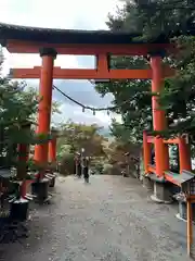 新倉富士浅間神社(山梨県)