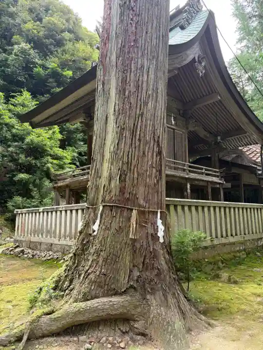 栗溪神社(鳥取県)