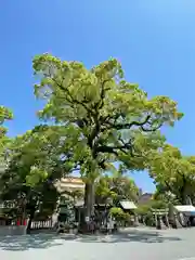 正八幡宮(福岡県)