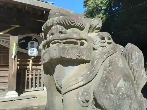 星宮神社(栃木県)