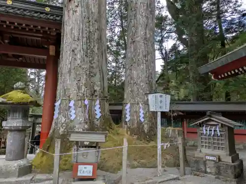 日光二荒山神社の{uncategorized: "未分類", other: "その他", undefined: "問題あり", building: "その他建物", grave: "お墓", sacred_gate: "鳥居", guardian: "狛犬", statue: "像", buddha: "仏像", history: "歴史", nature: "自然", garden: "庭園", animal: "動物", pagoda: "塔", temizu: "手水舎", mountain_gate: "山門・神門", sanctuary: "本殿・本堂", subordinate: "末社・摂社", art: "芸術", scenery: "景色", jizo: "地蔵", ema: "絵馬", goshuin: "御朱印", omikuji: "おみくじ", items: "授与品その他", amulet: "お守り", goshuincho: "御朱印帳", eats: "食事", festival: "お祭り", votive_dance: "神楽", shichigosan: "七五三参", wedding: "結婚式", experience: "体験その他", initially: "初詣", around: "周辺", anti_infection: "感染症対策"}