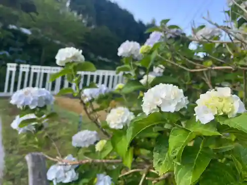済渡寺(岡山県)