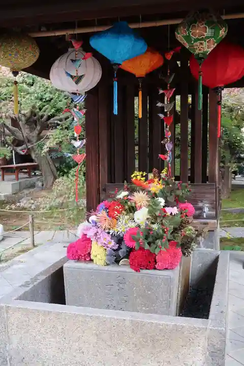 勝林寺(京都府)