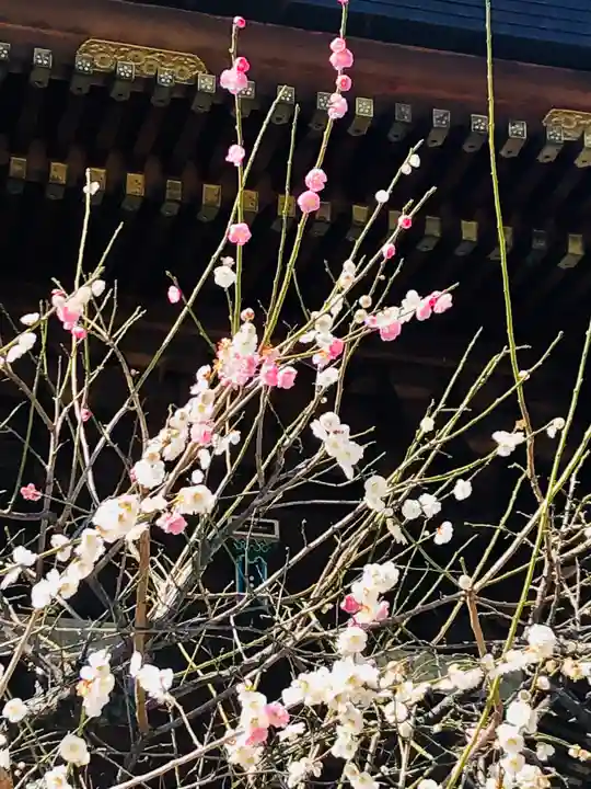湯島天満宮の庭園