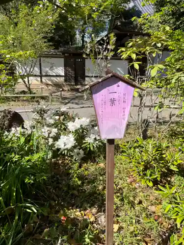 平野神社(京都府)