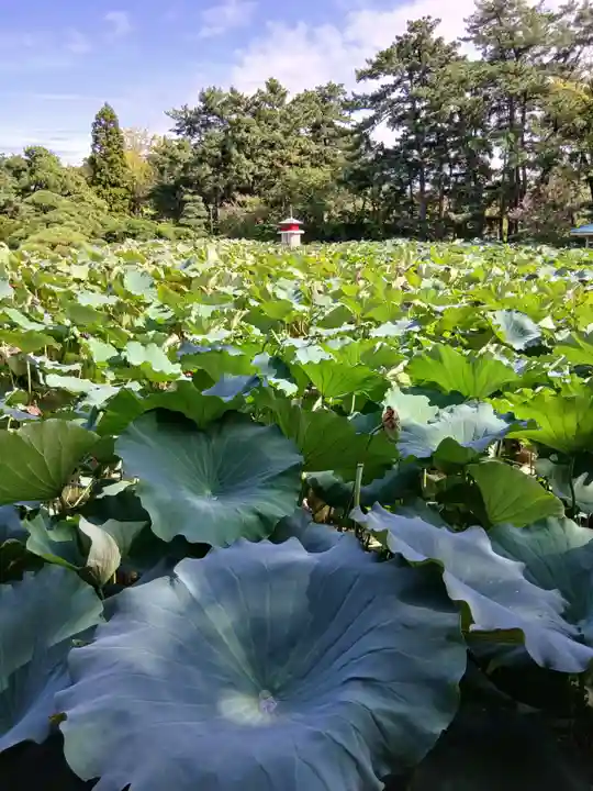 白山神社(新潟県)