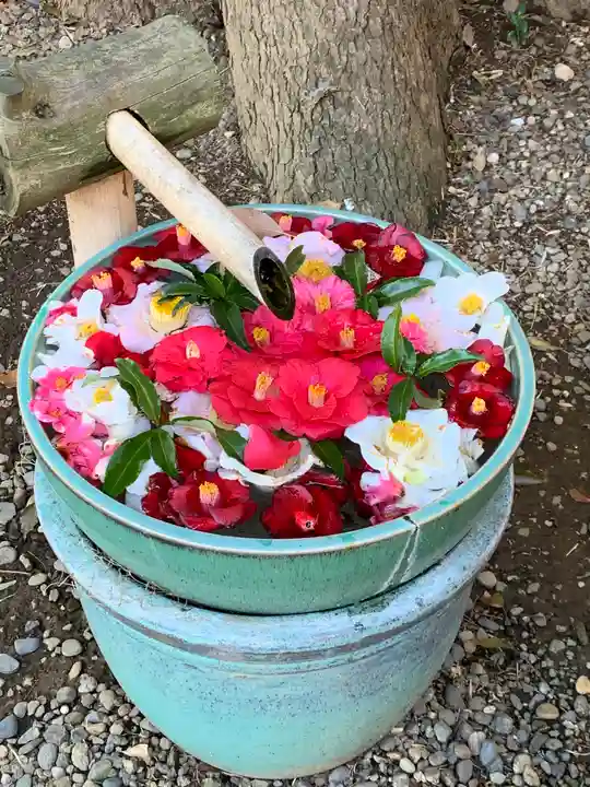 岩槻久伊豆神社(埼玉県)