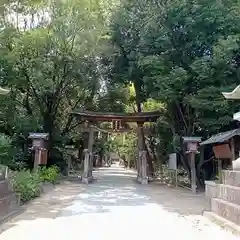 辛國神社の鳥居