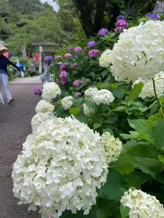 太平山神社(栃木県)
