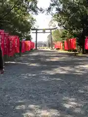 都農神社の鳥居