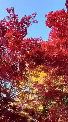 相馬神社(北海道)