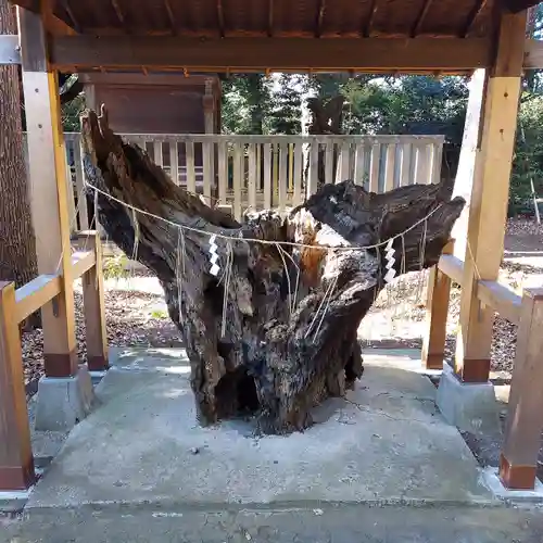 八雲氷川神社の自然