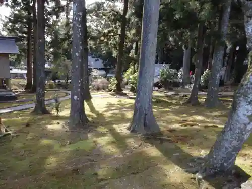 金剛證寺の庭園