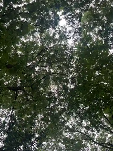 諏訪神社(東京都)