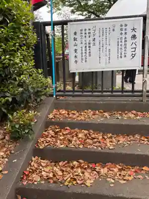 上野大佛(東京都)