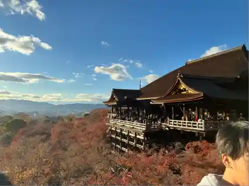清水寺(京都府)